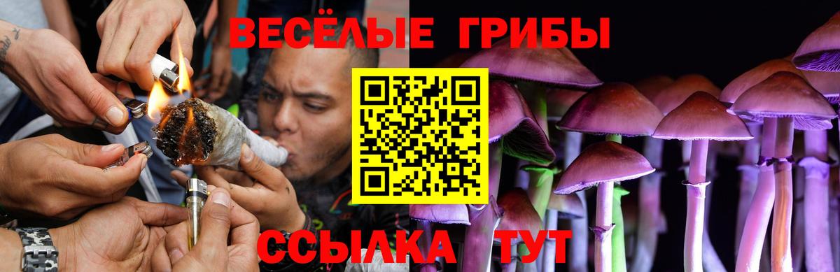 Псилоцибиновые грибы Magic Shrooms  Вход с VPN  как найти наркотики  Арзамас 